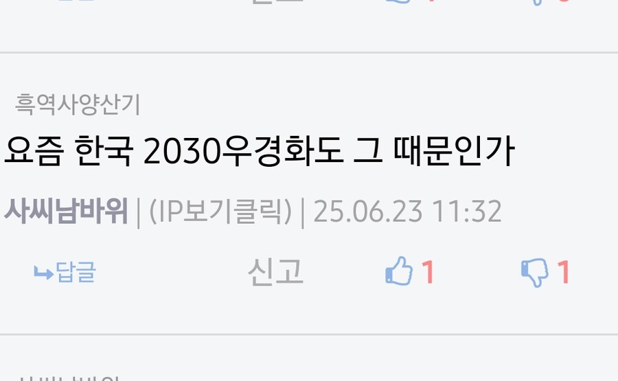 사씨 남바위야 너거 찢주당한테 가서 따지라고_15.jpg