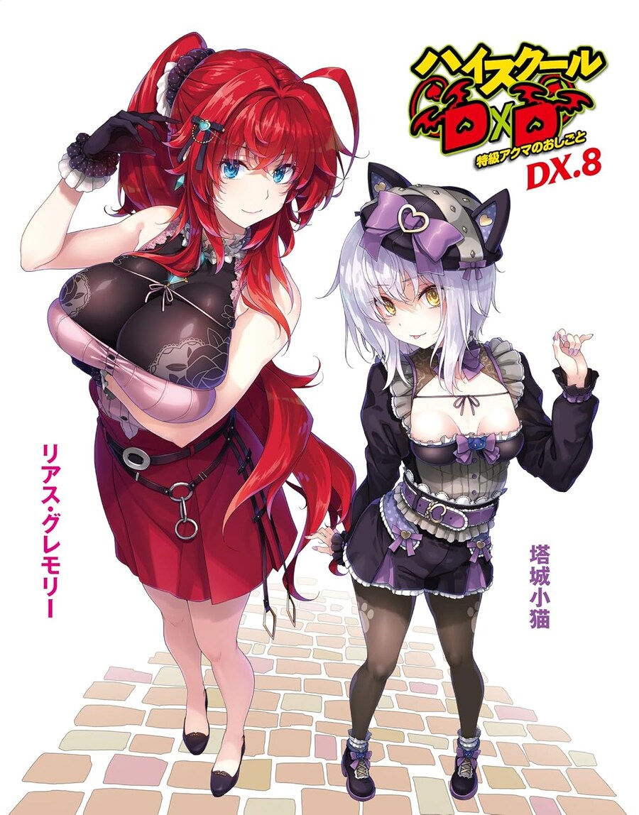 허이스쿨 DXD DX 8권 일러스트_1.jpg