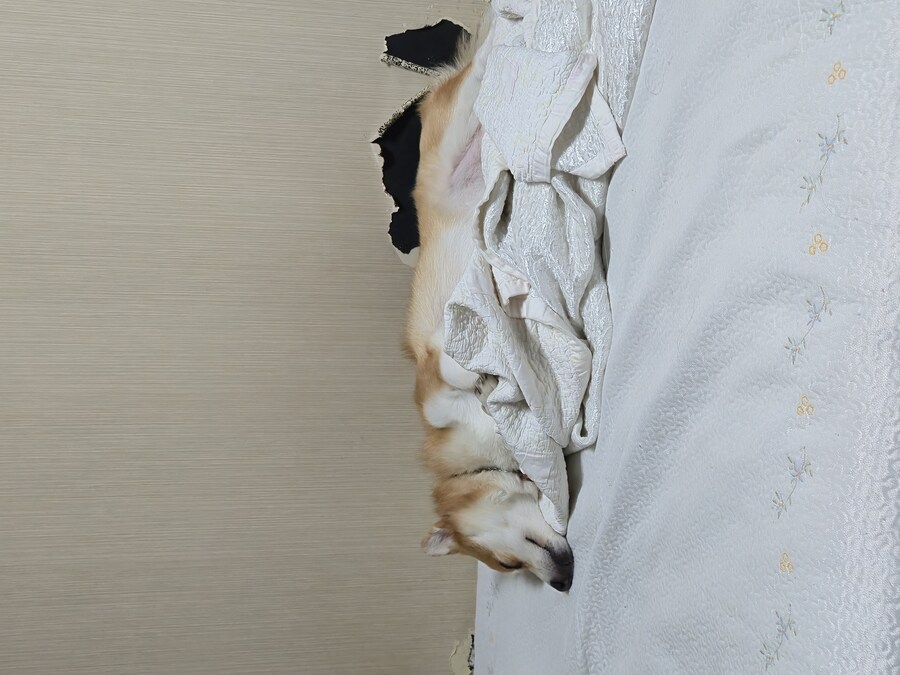 숨막히는 뒤태 미친 비율 ㅗㅜㅑ_5.jpg