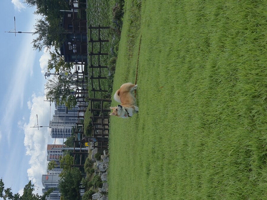 숨막히는 뒤태 미친 비율 ㅗㅜㅑ_6.jpg