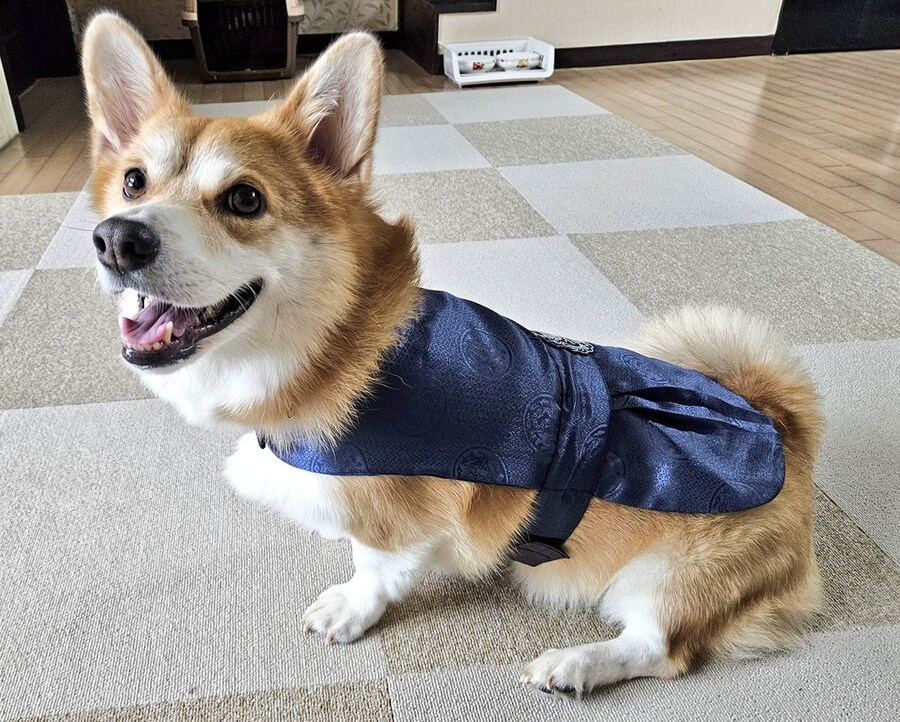 숨막히는 뒤태 미친 비율 ㅗㅜㅑ_7.jpg