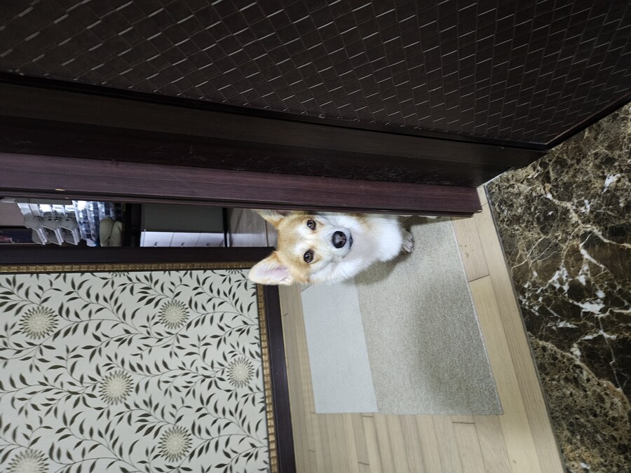 숨막히는 뒤태 미친 비율 ㅗㅜㅑ_9.jpg