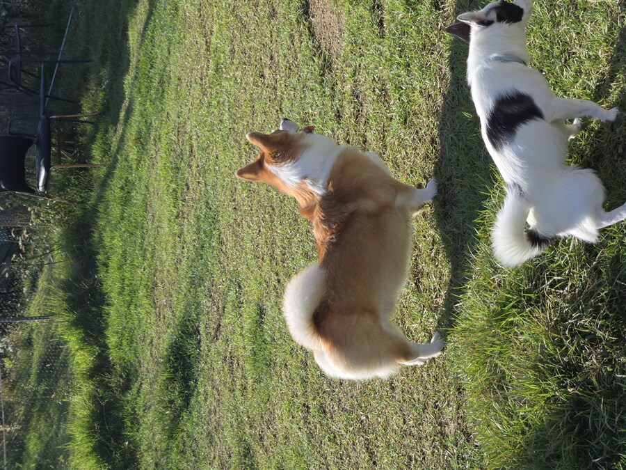 숨막히는 뒤태 미친 비율 ㅗㅜㅑ_11.jpg