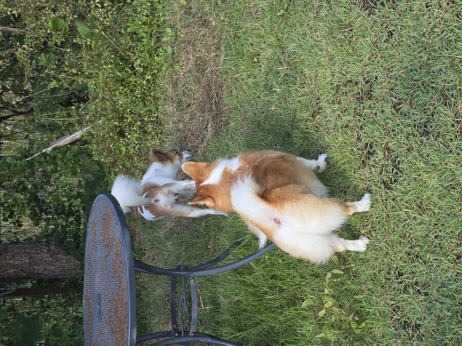 숨막히는 뒤태 미친 비율 ㅗㅜㅑ_12.jpg