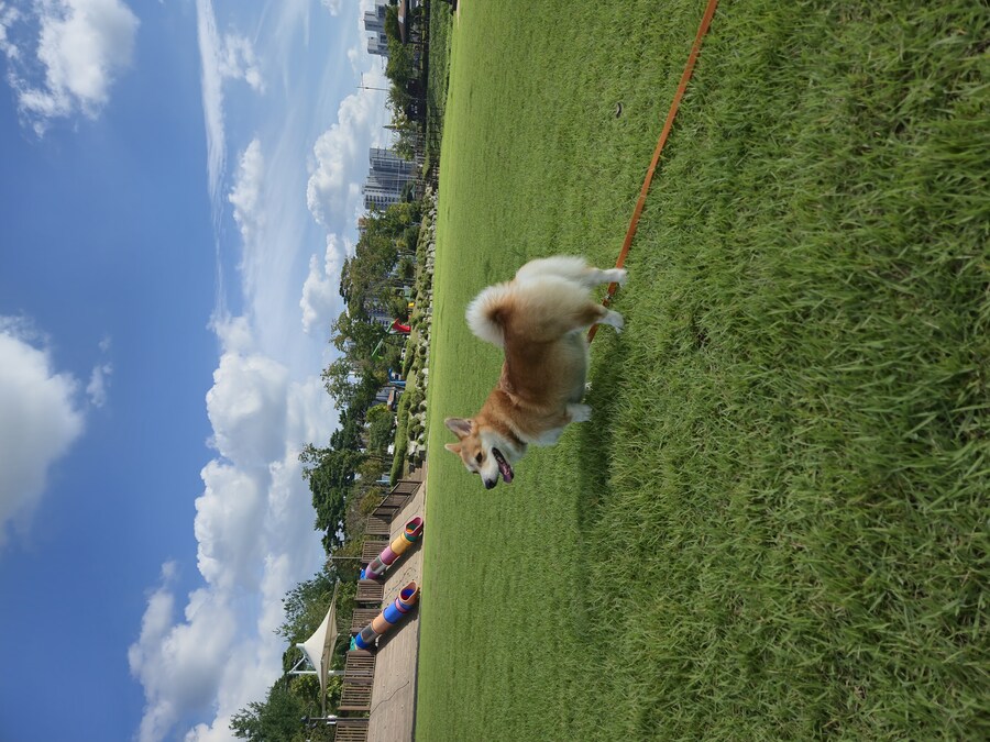 숨막히는 뒤태 미친 비율 ㅗㅜㅑ_15.jpg