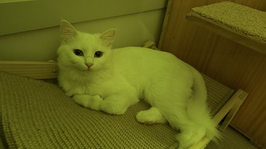 내가 가만히 생각해봤는데.._11.jpg