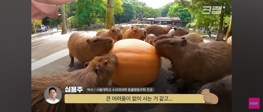 살면서 죽기전에 만져보고 싶은동물_2.jpg