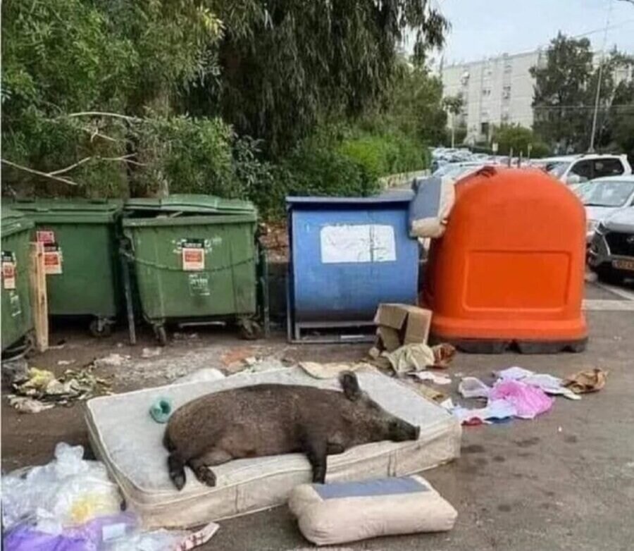 엄마가 보는 유게이의 방_2.jpg