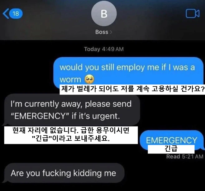 의외로 상사한테 하면 안되는 짓_1.webp