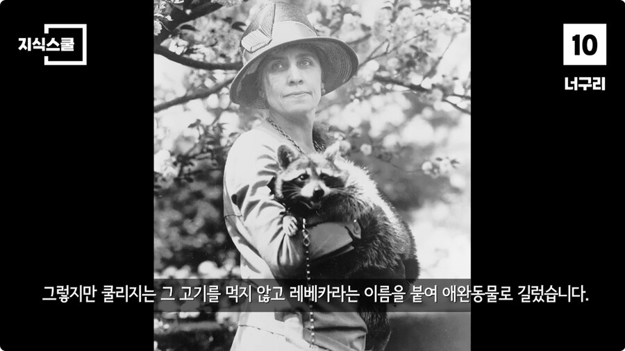 백악관 내부에서만 금지했던 식품 Top 10.jpg_5.jpg