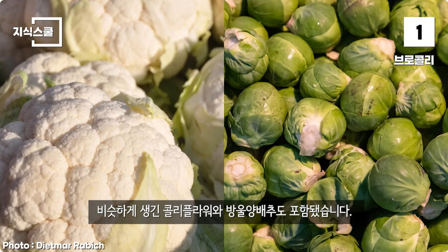 백악관 내부에서만 금지했던 식품 Top 10.jpg_128.jpg