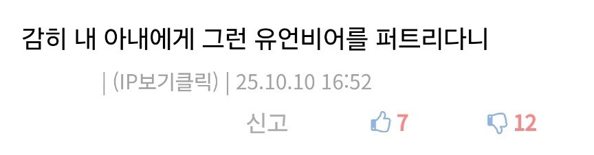 “아이유는 간첩”... 男 악플러, 1심서 징역형 집행유예_2.jpg