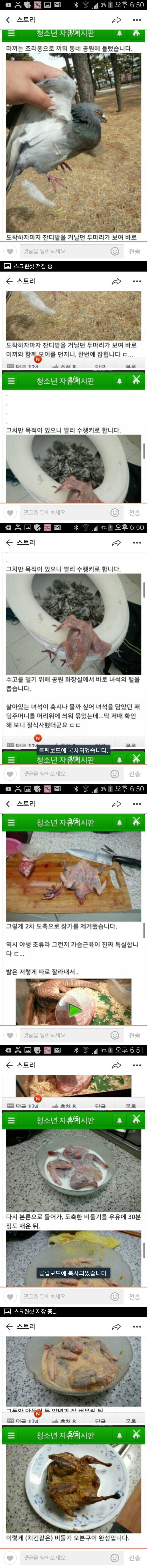 약혐) 비둘기 오븐구이 만들기_1.jpg