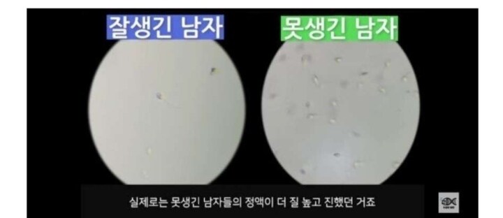 잘생긴 남자보다 우수한 못생긴 남자의 정자_2.jpg