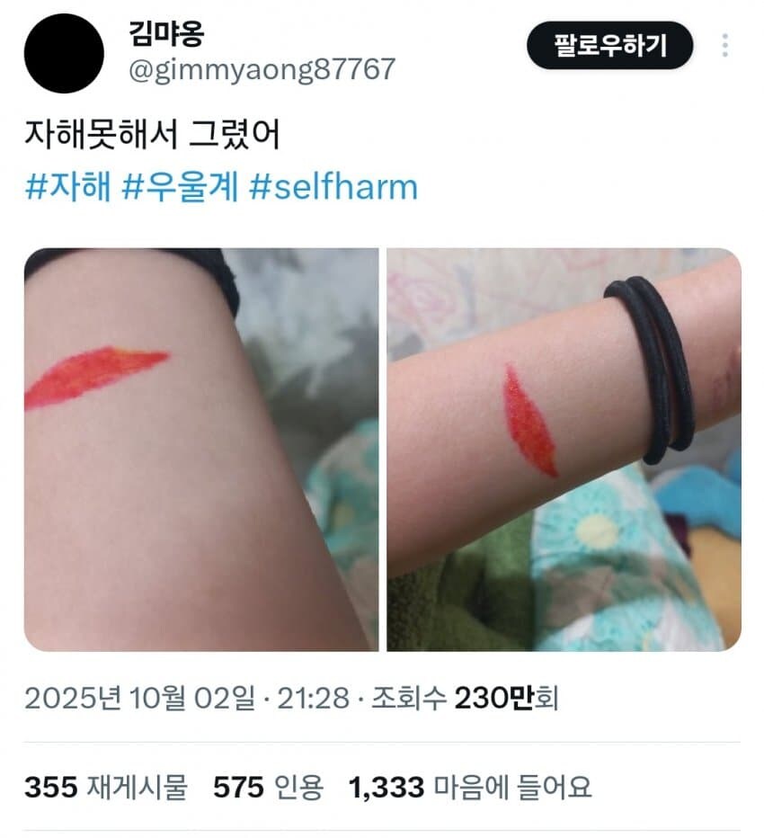 트위터 우울계 근황..jpg_1.jpg