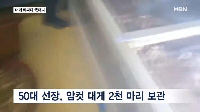 ??? : 크크크크크 암케녀석 비싸게 팔아주지..._1.jpg
