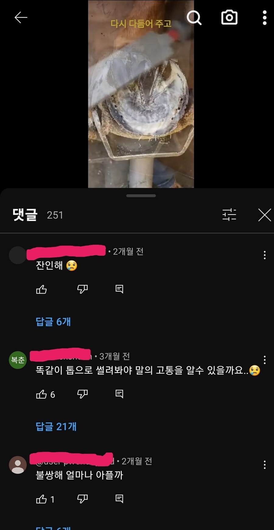 말발굽 장제사 유투브 보면 나오는 놈들_1.jpg