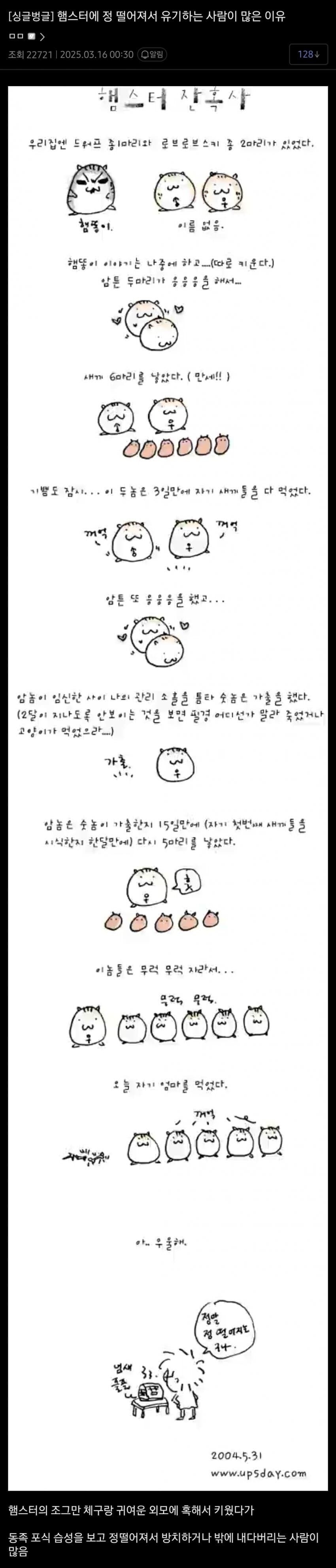 햄스터 키우다 유기하는 사람이 많은 이유_1.jpg