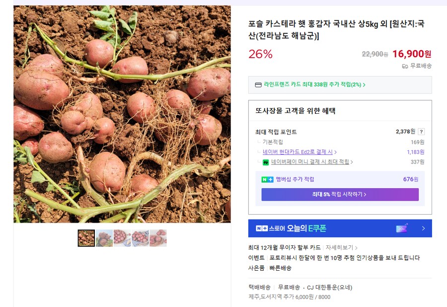 [네이버] 포슬 카스테라 햇 홍감자 국내산 상 5kg 외 (무배/16900원)_1.png