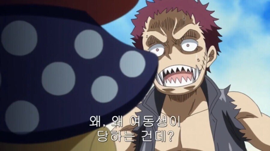 원피스 카타쿠리 과거 관련 묘한 점_11.jpg