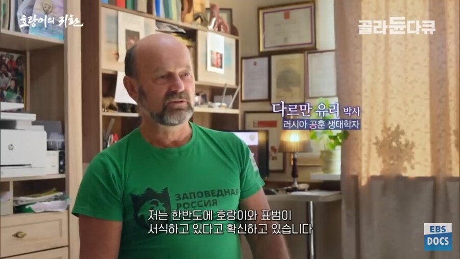 러시아 전문가 : 호랑이와 표범은 이미 한반도로 돌아갔음. 확실함_9.jpg