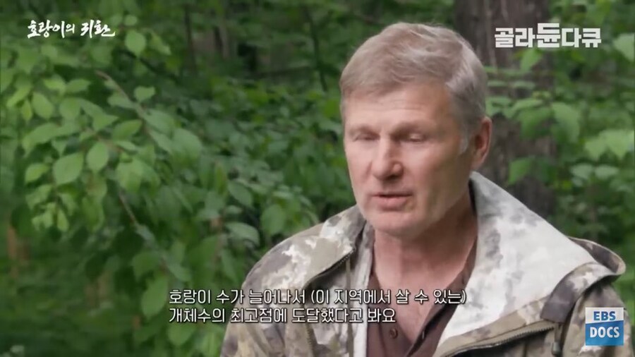 러시아 전문가 : 호랑이와 표범은 이미 한반도로 돌아갔음. 확실함_2.jpg