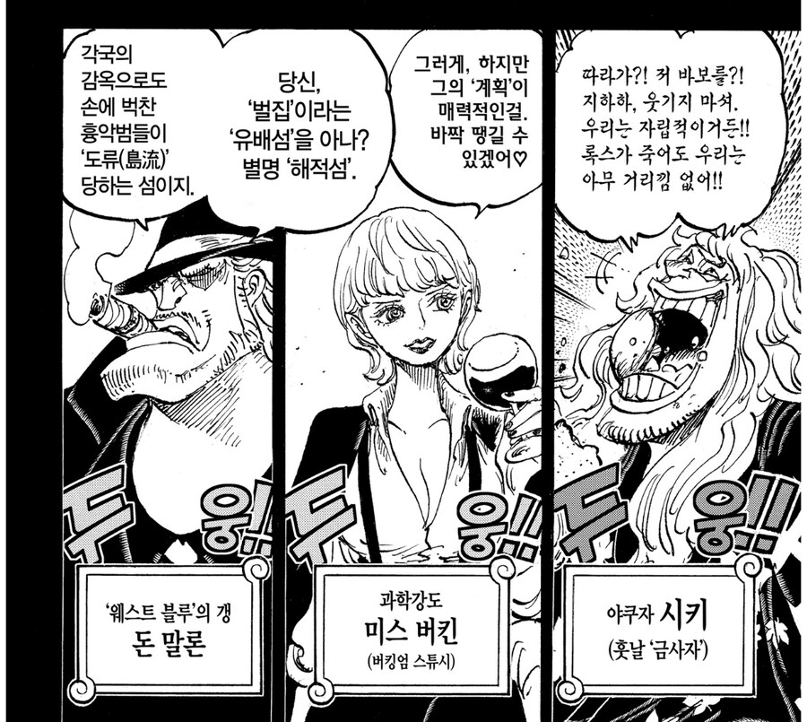 원피스 록스 관련 가장 오해하는 사실_5.jpg