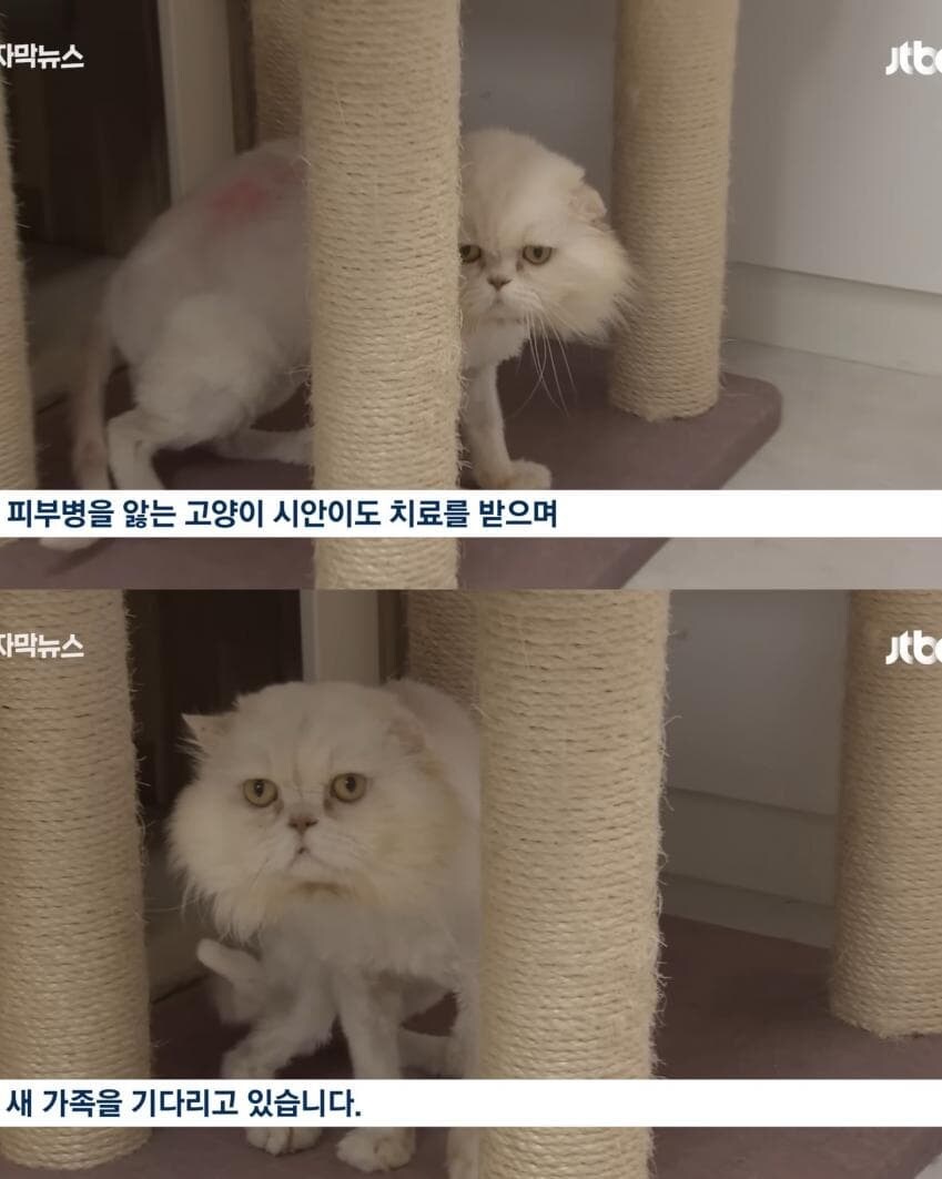 이번 추석에도 반복되는 쓰레기짓_2.jpg