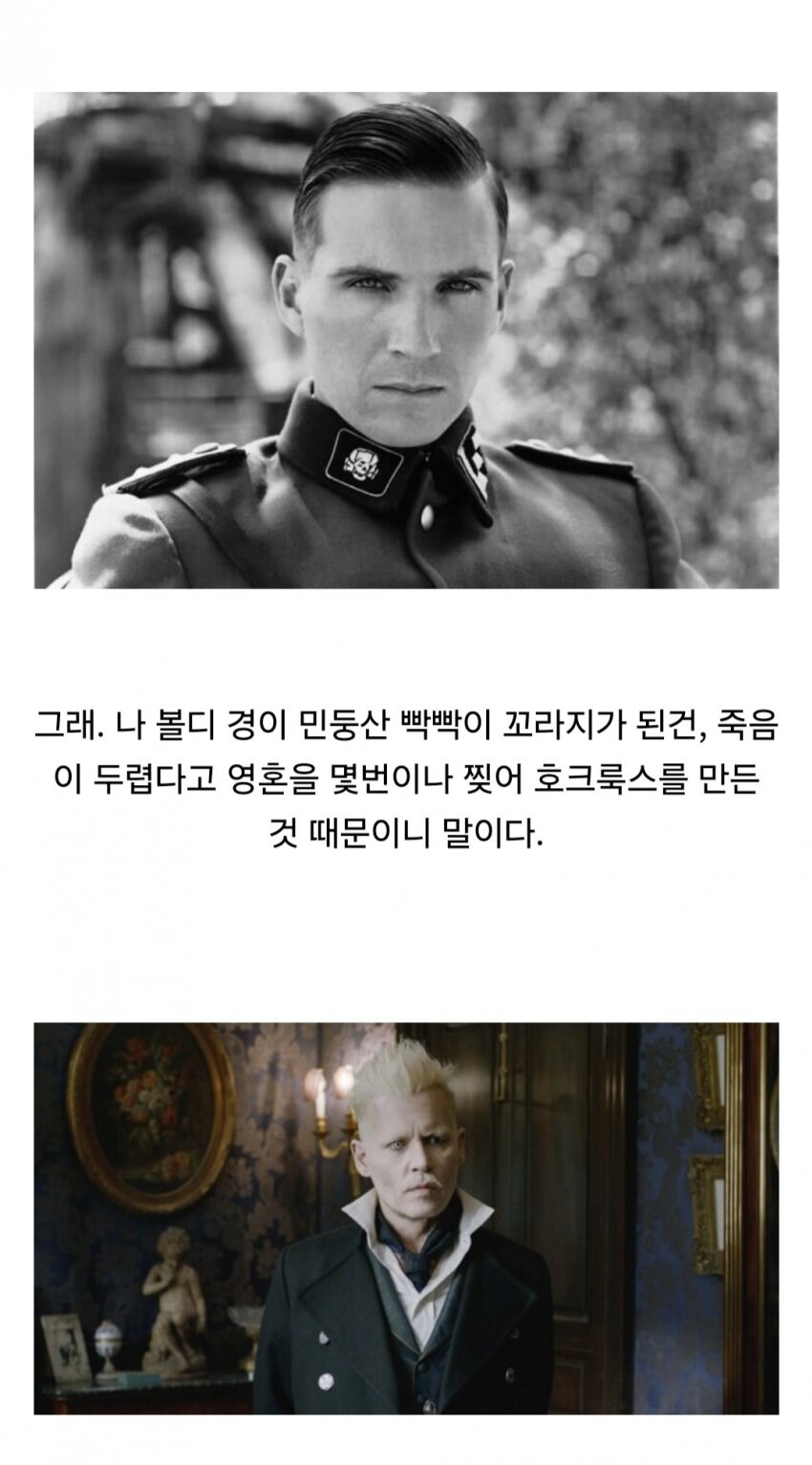 볼드모트가 해리 포터 관련 예언을 무시한 세계관_13.jpg