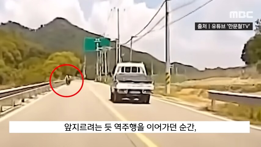 대한민국에서 역주행으로 사람 죽이고 받는 처벌 수위_8.png