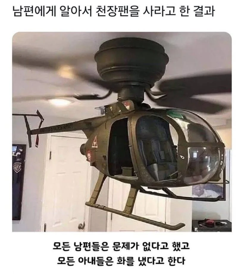 남편에게 천장팬을 사달라고 한 결과_1.webp