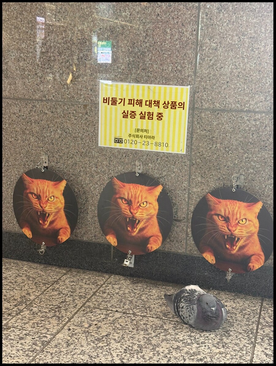실증 실험이다!!_1.png