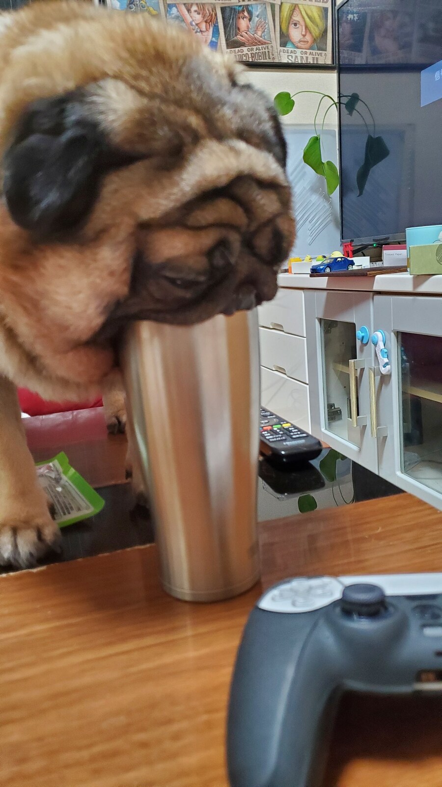 여우와 두루미_3.jpg