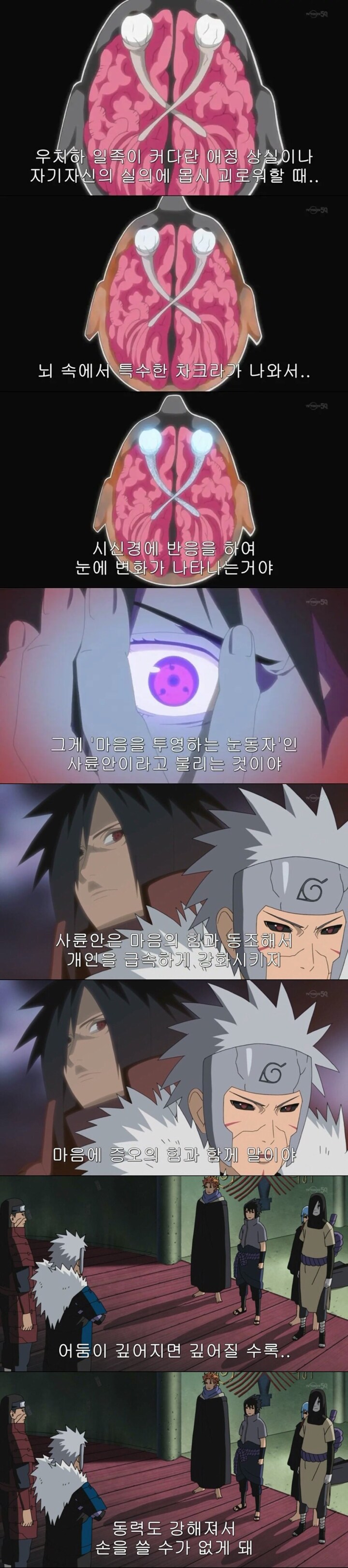 사스케: 당신은 그걸 어떻게 알고 있는 거야?_1.png