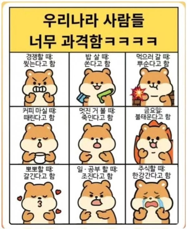 표현이 과격한 한국인들.jpg _1.jpg