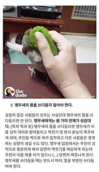 잔뜩 달아오르게 해놓고 본게임은 안하는 사람.jpg_1.jpg