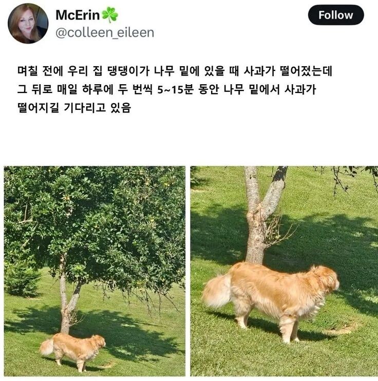 멍멍이 이름이 혹시???.jpg_1.jpg