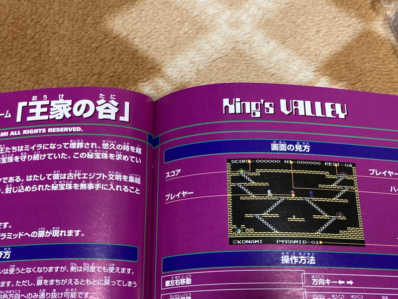 몽대륙(夢大陸) 어드벤쳐 & 코나미 앤틱스 MSX 콜렉션 Vol.3_25.jpg
