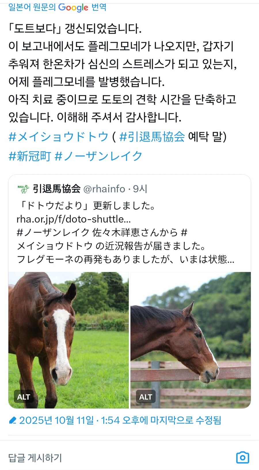 말딸) 메이쇼 도토 원본마 플레그모네 발병으로 견학 단축._1.jpg