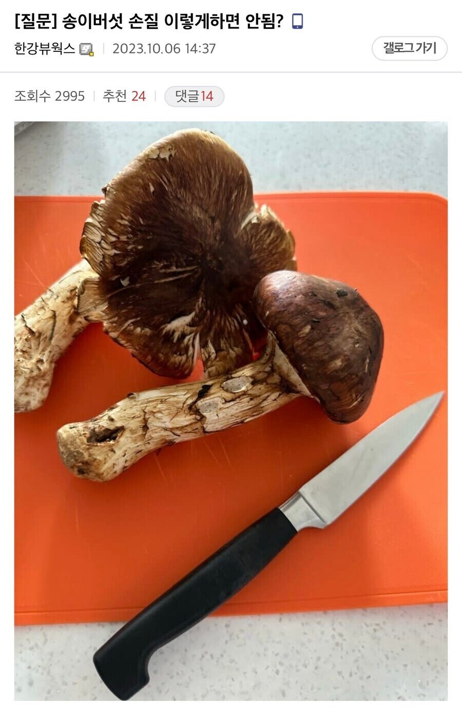'송이버섯 손질 이렇게하면 안됨?'_1.png