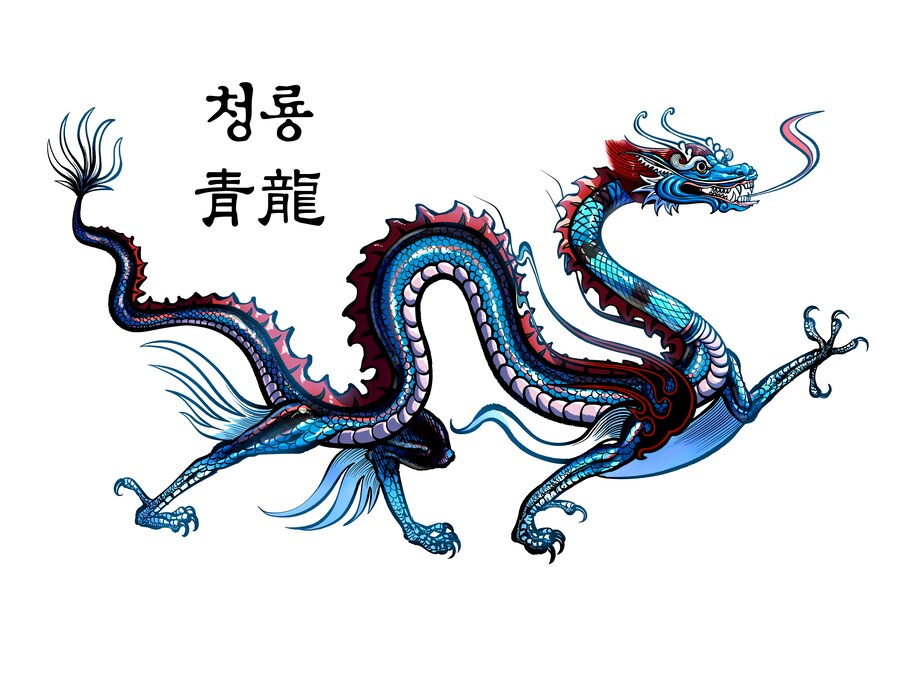 오늘 그린 청룡 보고가_1.png