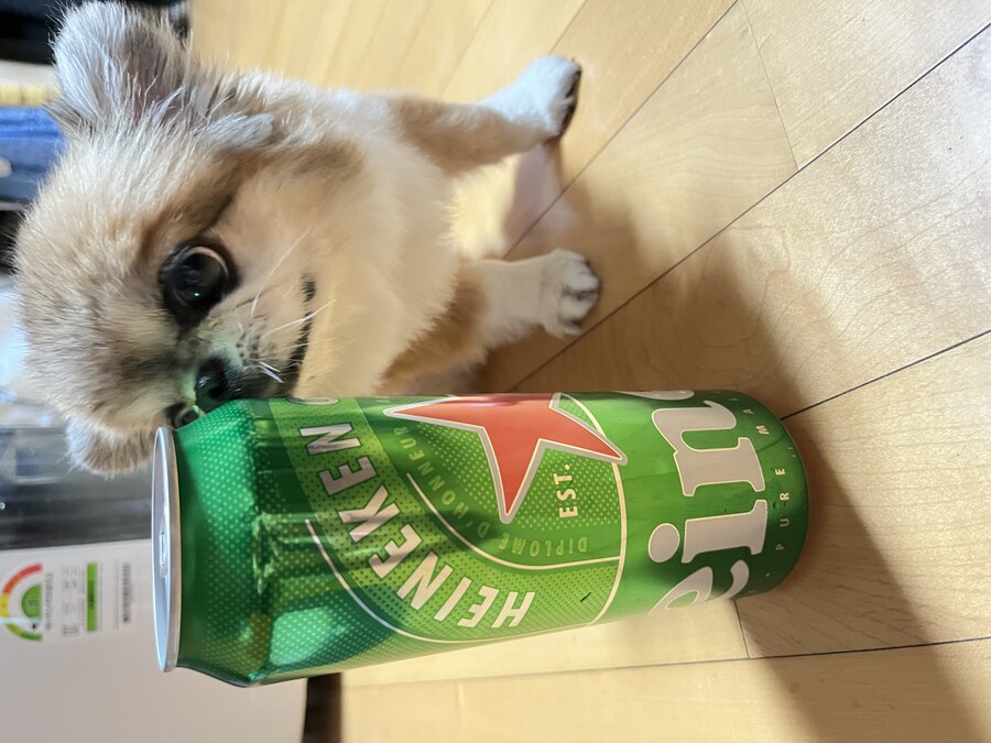 맥주랑 호두_1.jpg