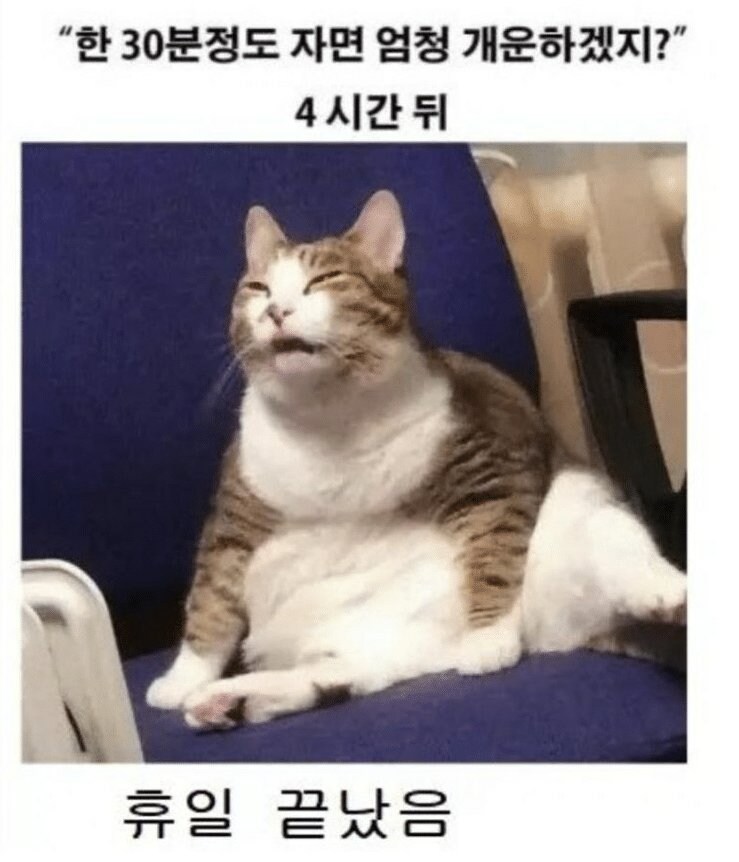 휴일에 낮잠자면 ㅈ되는 이유_1.jpg