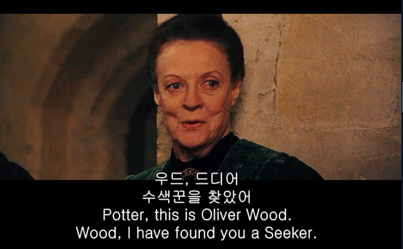 해리포터)불의 잔이 부정임에도 해리포터를 선택한 이유_1.png