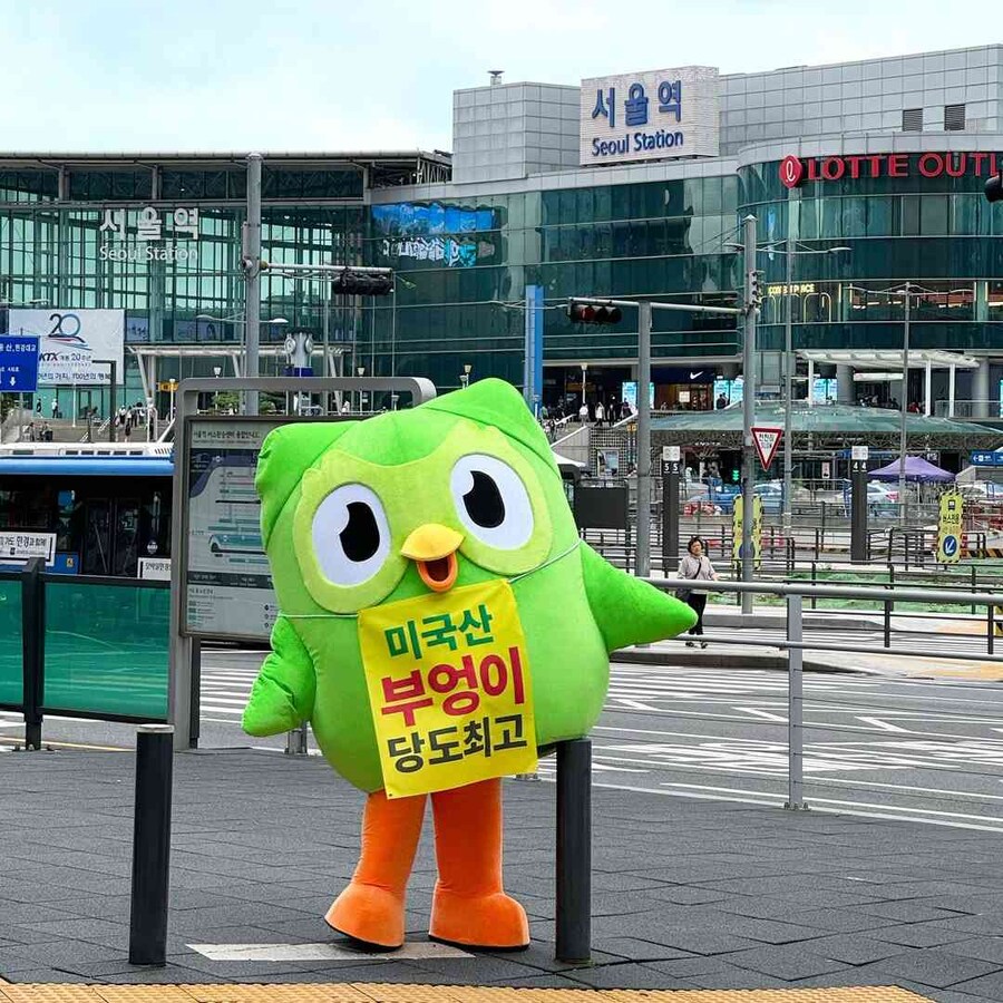 미국산 부엉이 당도최고_1.jpg