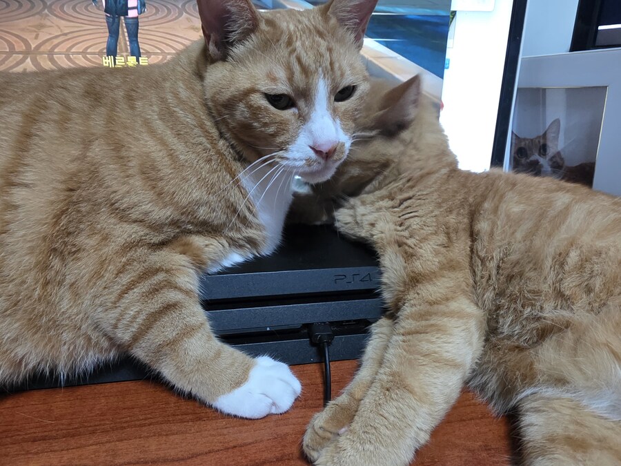 귀염둥이 양복_4.jpg