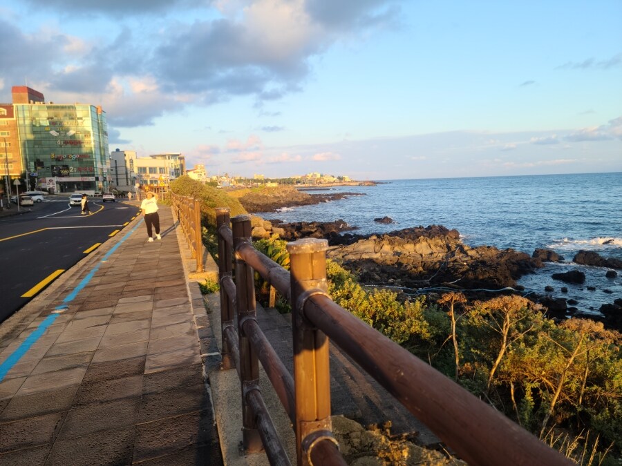 제주 환상 자전거길 234km 도보여행 1일차_14.jpg
