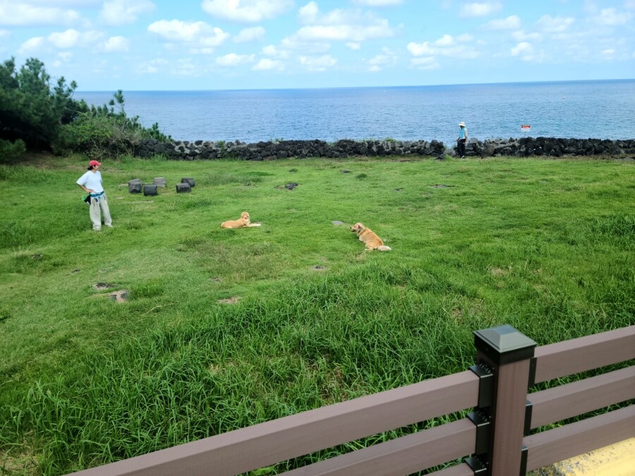 제주 환상 자전거길 234km 도보여행 1일차_29.jpg