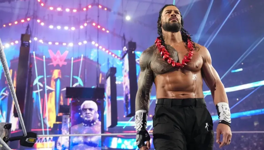 WWE) 한때 WWE의 유망주 소리를 듣던 팀의 근황.jpg_2.webp