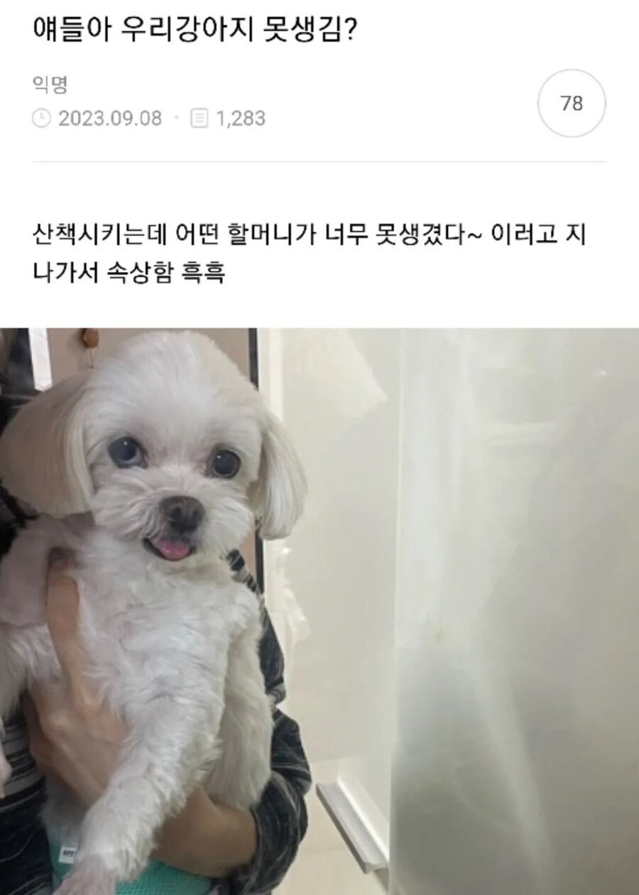 지나가는 할머니가 강아지 못생겼다는 소리해서 속상함_1.png